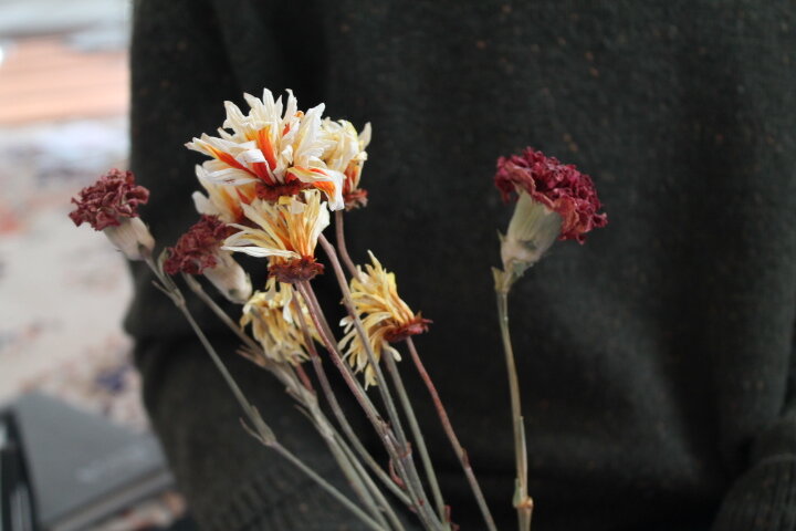 A collection of dried flowers